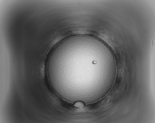 X0000095890111200801181234