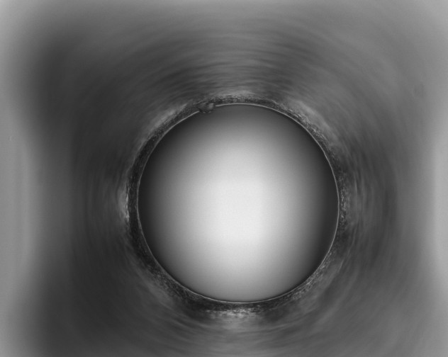X0000095890112200801181234