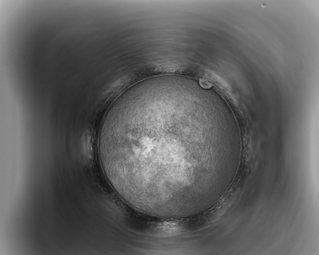 X0000095890114200801181233