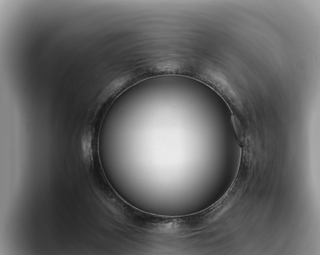 X0000095890116200801181233