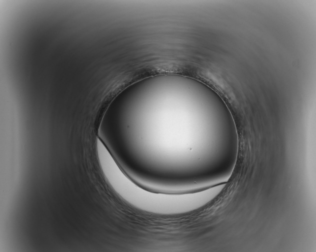 X0000095890117200801181233