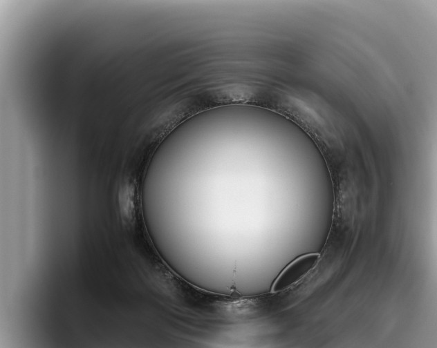 X0000095890122200801181233