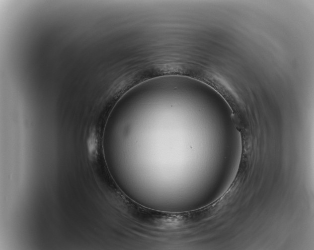 X0000095890124200801181233