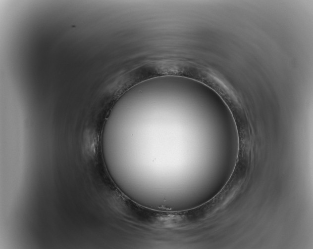 X0000095890125200801181233