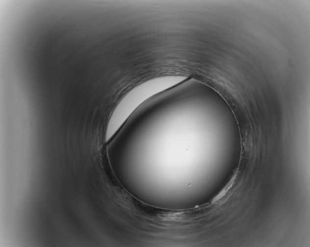 X0000095890132200801181233