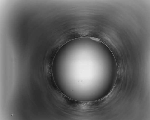 X0000095890136200801181233