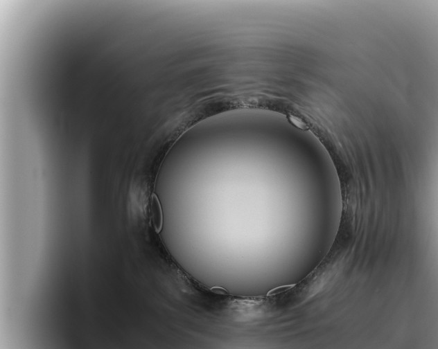 X0000095890139200801181233