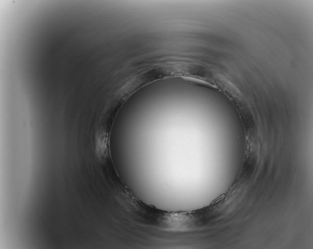 X0000095890141200801181233