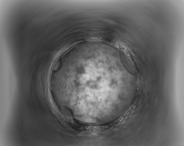X0000095890145200801181232