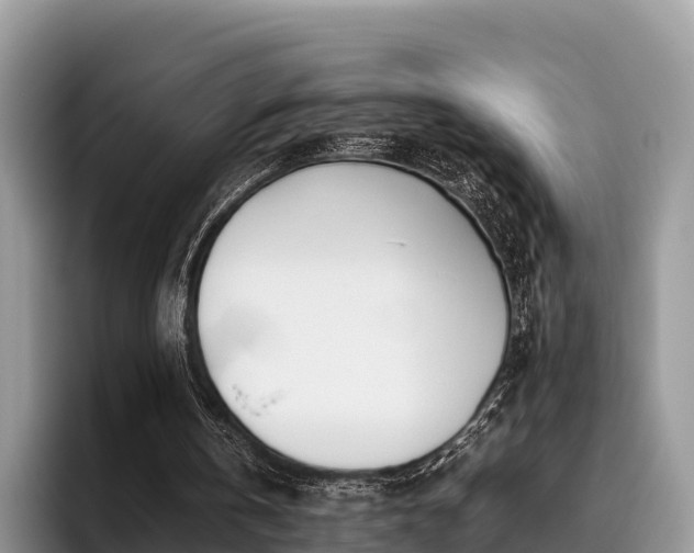 X0000095890146200801181232