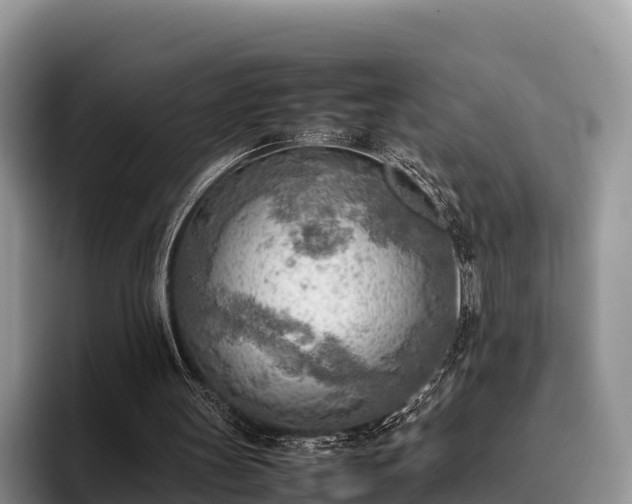 X0000095890147200801181232
