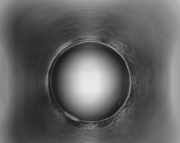 X0000095890148200801181233