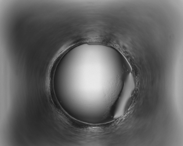 X0000095890150200801181233