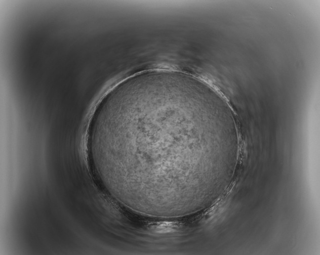 X0000095890151200801181233