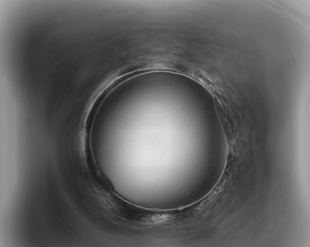 X0000095890152200801181233