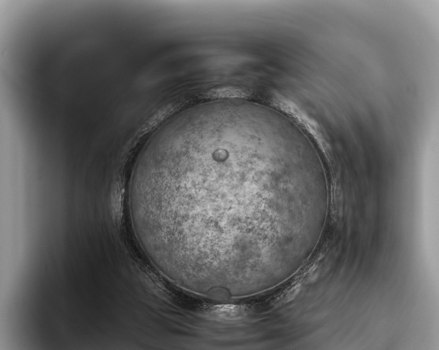 X0000095890153200801181233