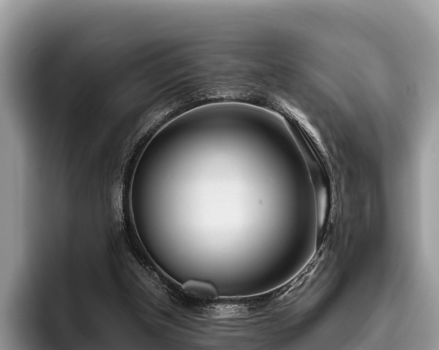 X0000095890154200801181233