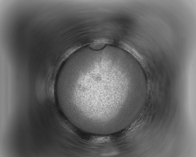 X0000095890155200801181233