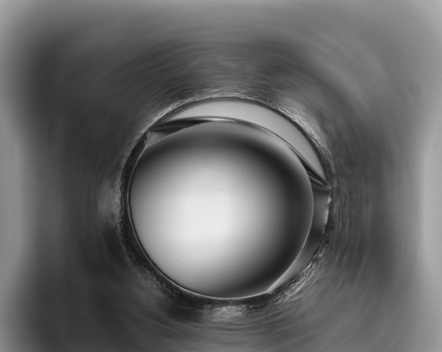 X0000095890156200801181233