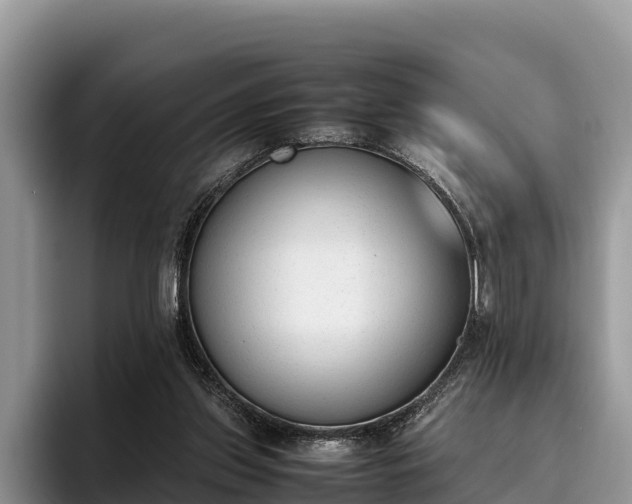 X0000095890157200801181233