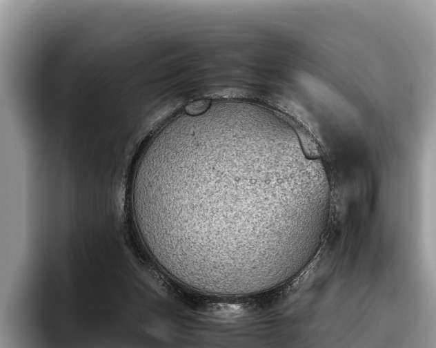 X0000095890159200801181233