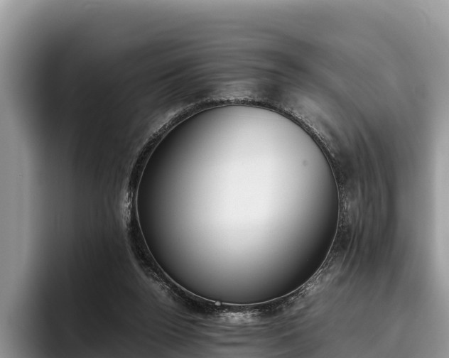 X0000095890160200801181233