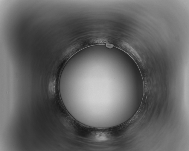 X0000095890163200801181233