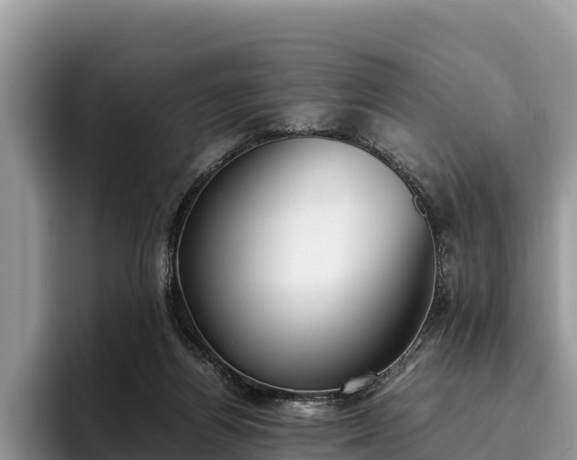 X0000095890164200801181233