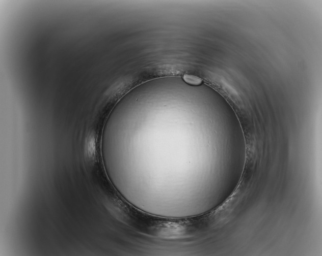 X0000095890166200801181233