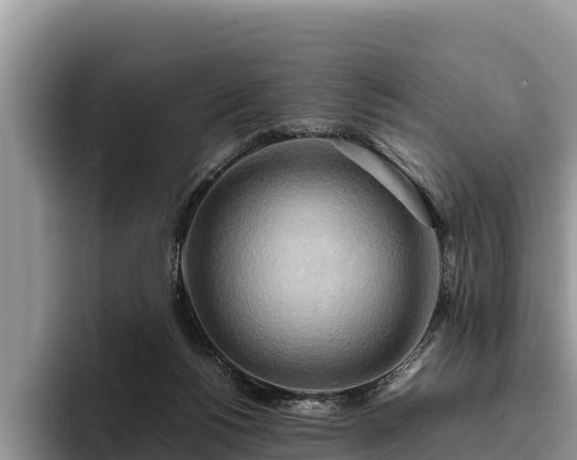 X0000095890168200801181233