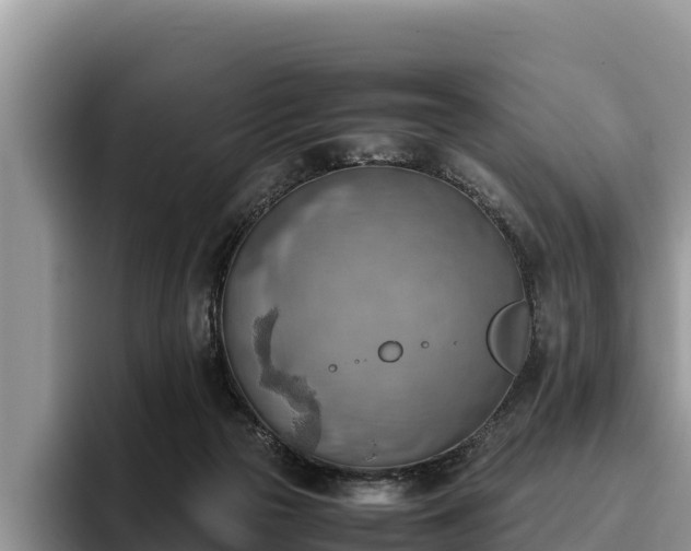 X0000095890169200801181233