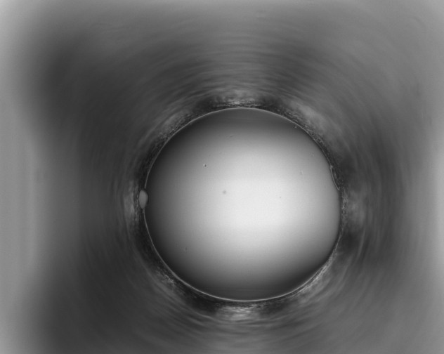 X0000095890170200801181233
