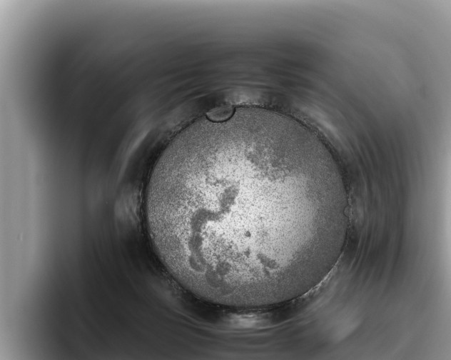X0000095890171200801181233