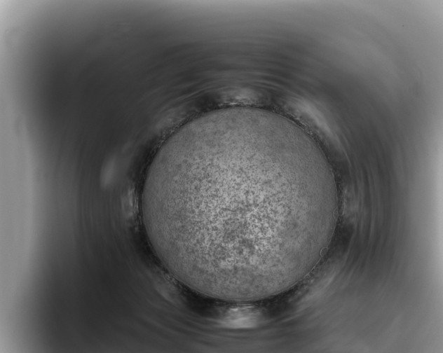 X0000095890173200801181233