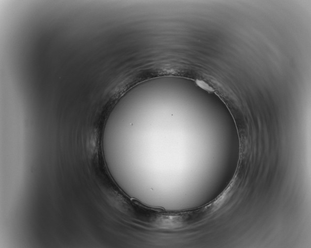 X0000095890174200801181233