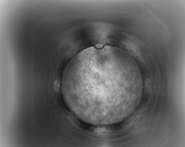 X0000095890177200801181233