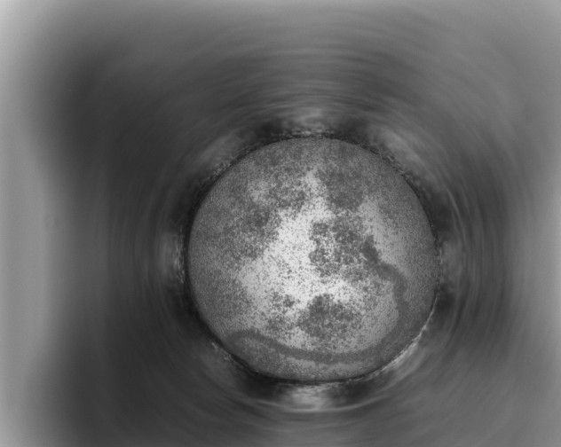X0000095890178200801181233
