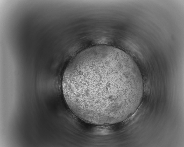 X0000095890179200801181233