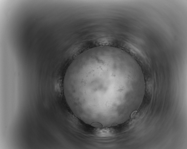X0000095890181200801181233