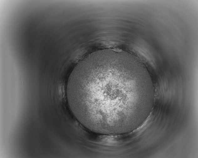 X0000095890182200801181233
