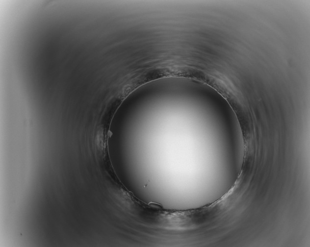 X0000095890186200801181233