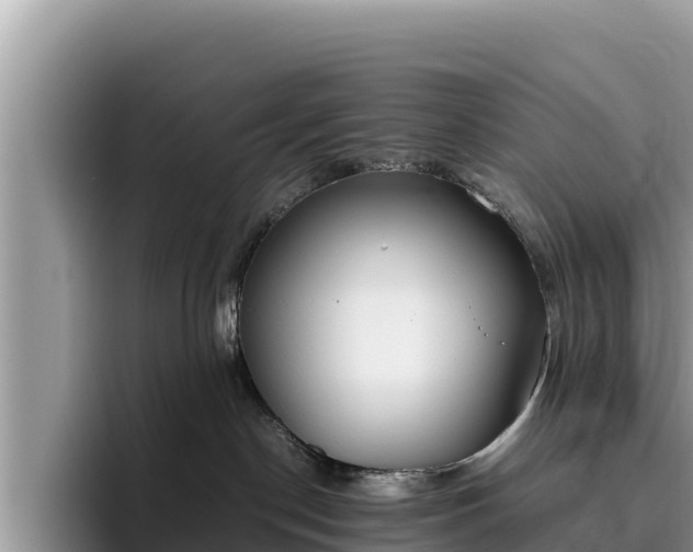 X0000095890190200801181233