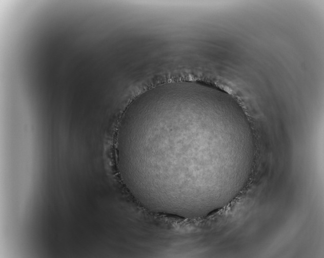X0000095890192200801181233