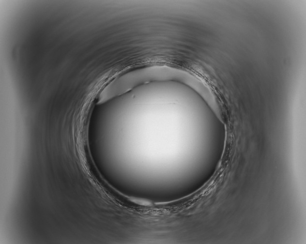 X0000095890193200801181232
