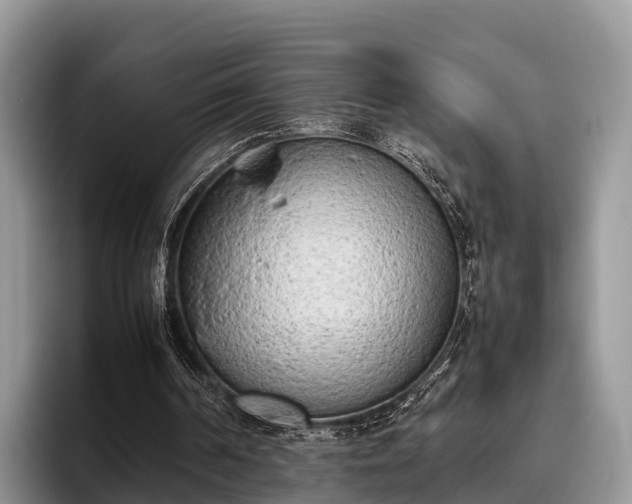 X0000095890194200801181232