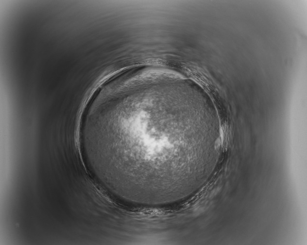 X0000095890195200801181232