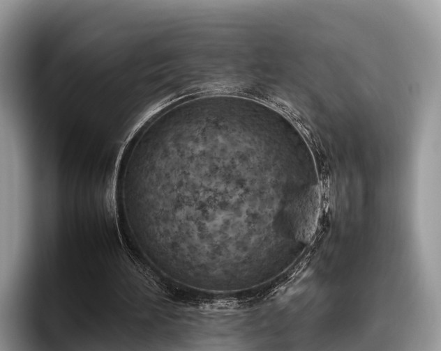 X0000095890196200801181232