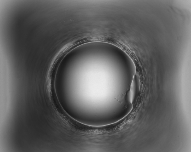 X0000095890197200801181232