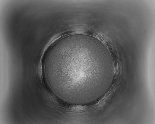 X0000095890198200801181232