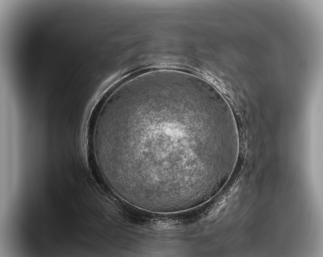X0000095890199200801181232